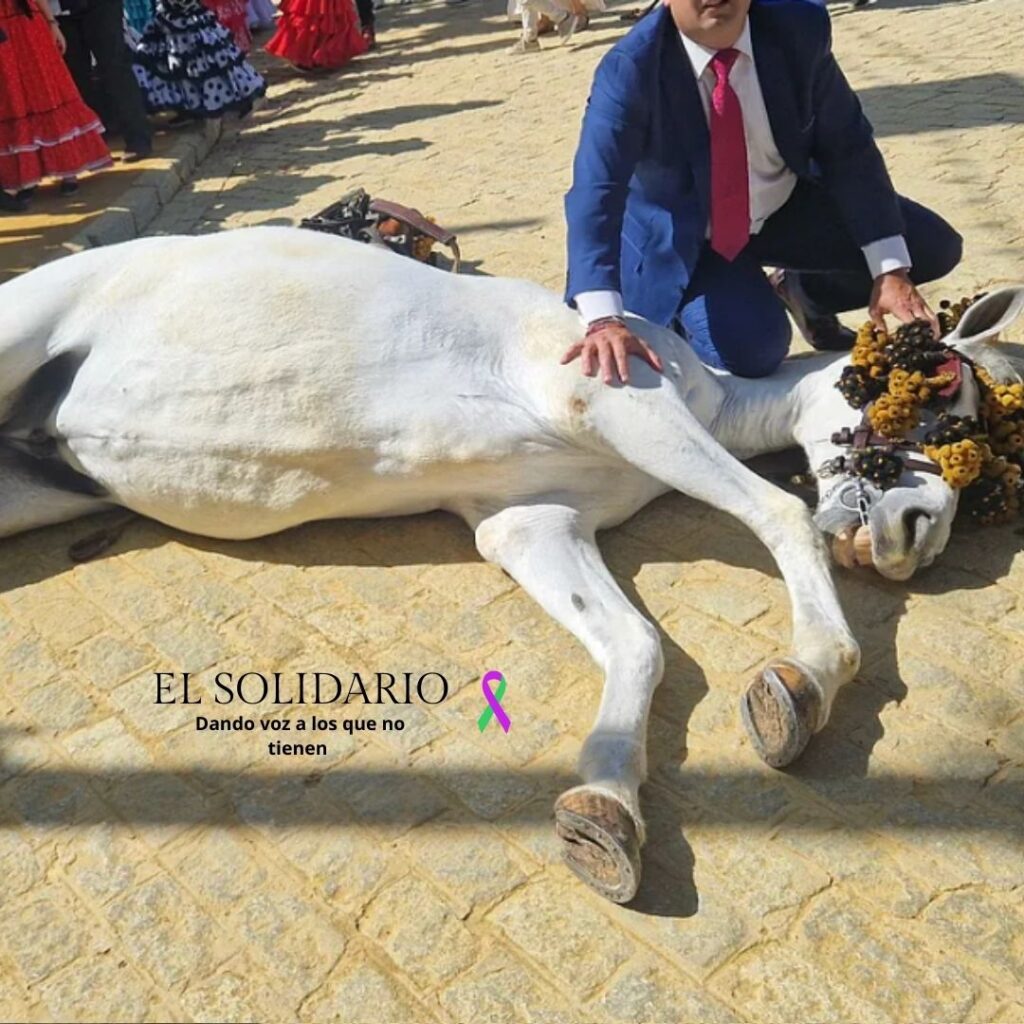 Toma de El Mundo de yegua desfallecida en la Feria de Abril de Sevilla en 2024