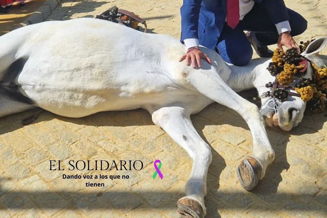 Toma de El Mundo de yegua desfallecida en la Feria de Abril de Sevilla en 2024