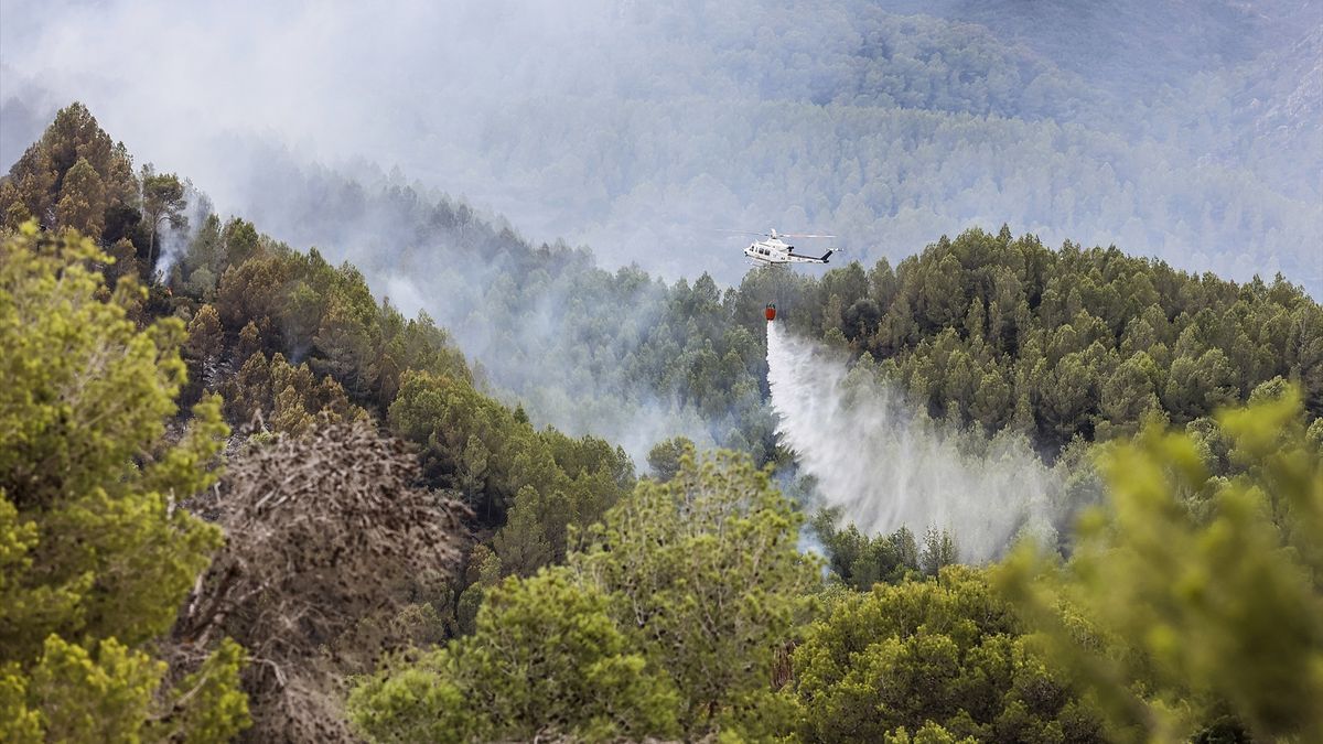 El cambio climático pone en «jaque» a los bosques españoles con incendios de alta intensidad
