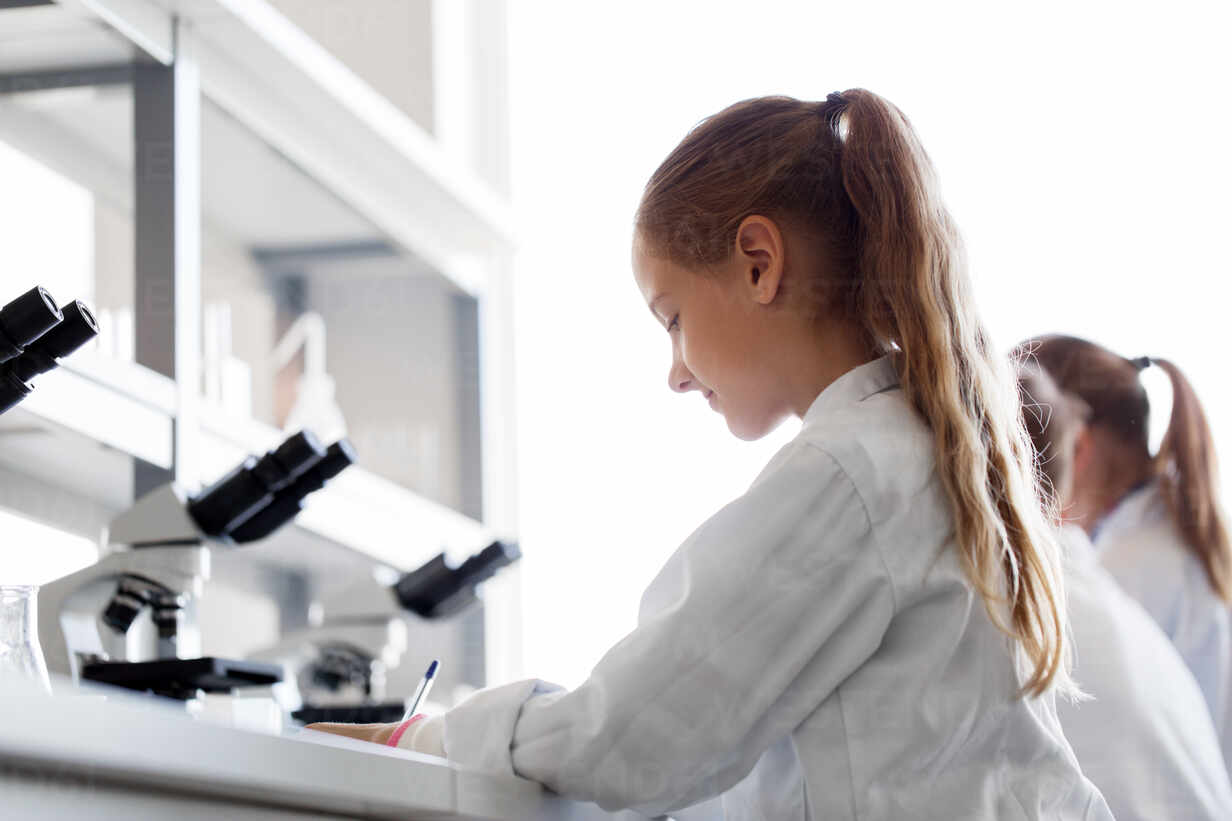Una década de activismo por el Día de la Mujer y la Niña en la Ciencia: avances y desafíos