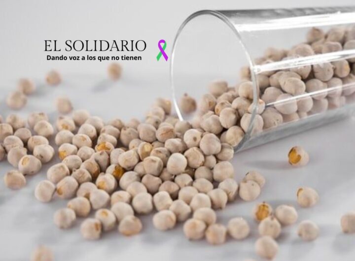 Debate sobre los efectos de la soja en la salud