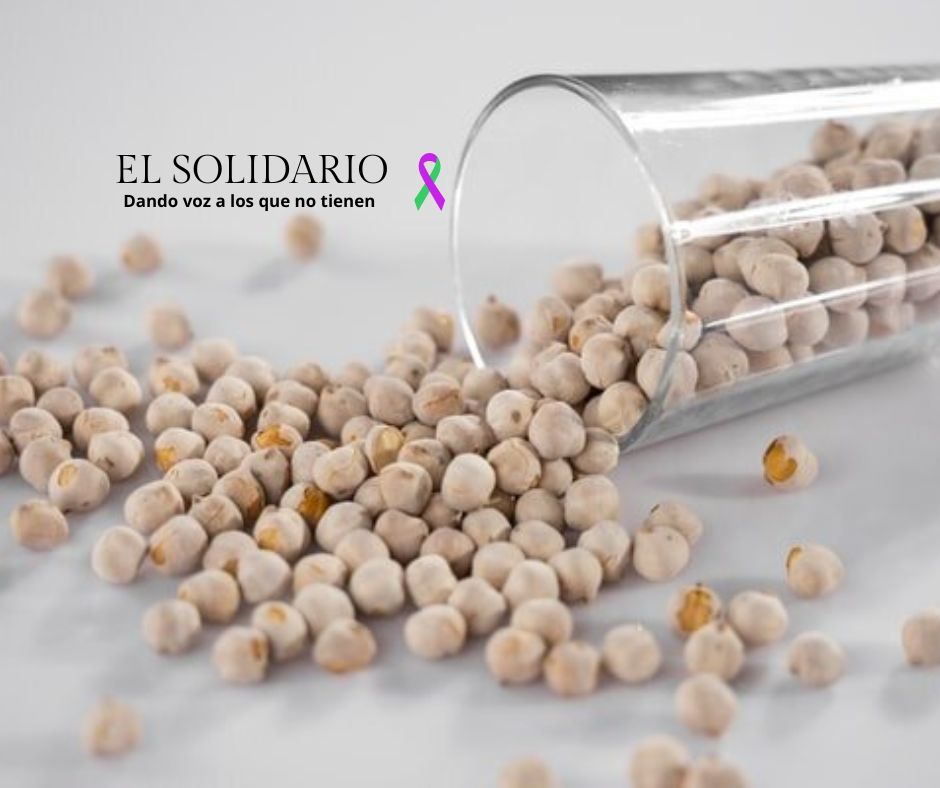 Debate sobre los efectos de la soja en la salud