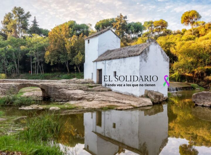 Molino de Benarosa / Turismo Alcalá de Guadaira / El Solidario