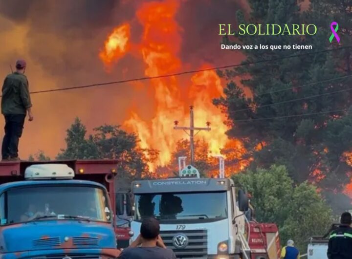 Incendios en La Patagonia Argentina y especulación inmobiliaria