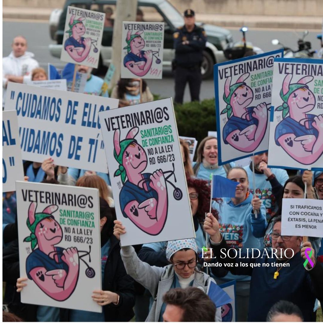 Veterinarios protestan en Madrid el 5M contra el RD 666/2023