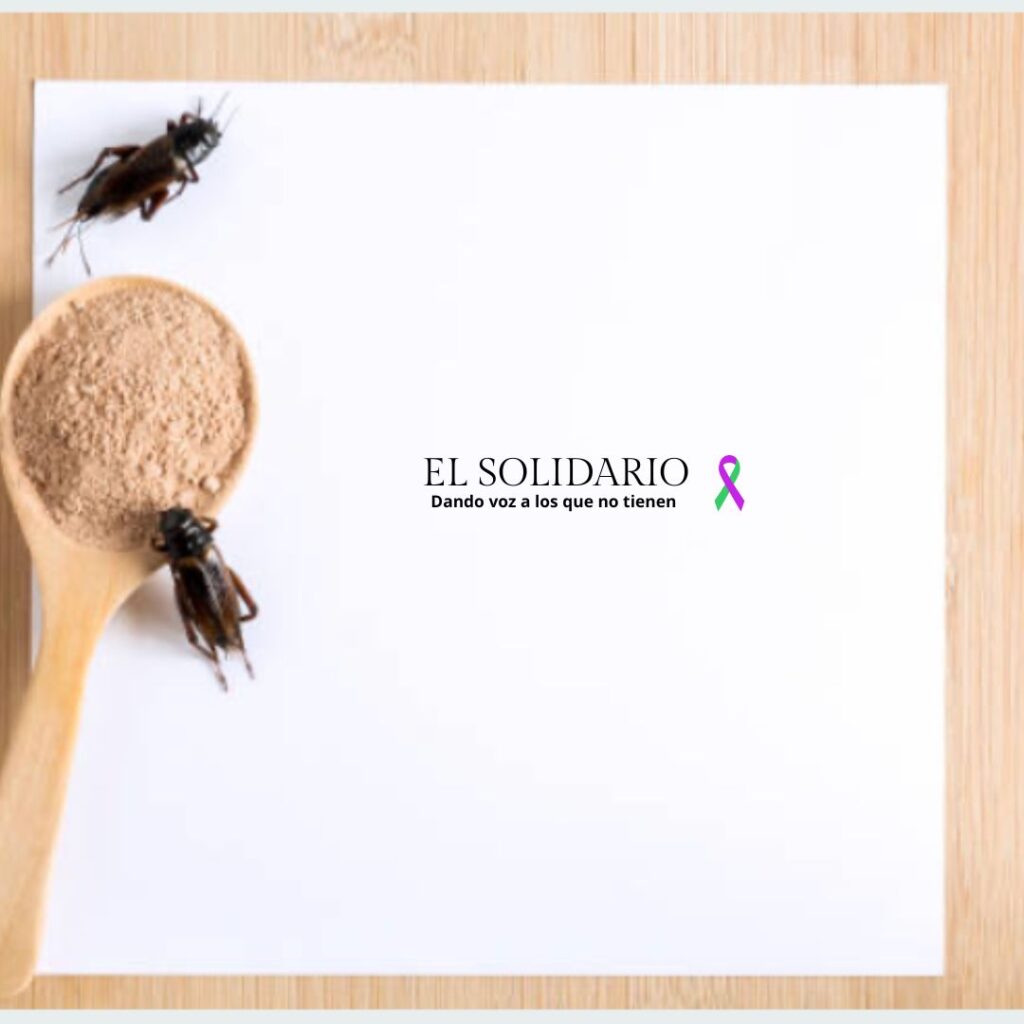 Introducción de insectos en las harinas en EU / Unsplash / El Solidario