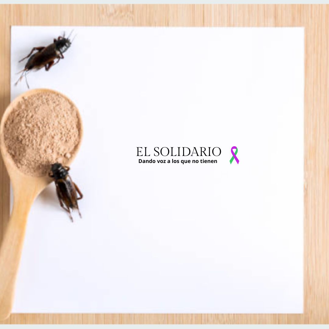 Harina de insectos en España ¿Alimentación del futuro o reducción de costes y falta de transparencia?