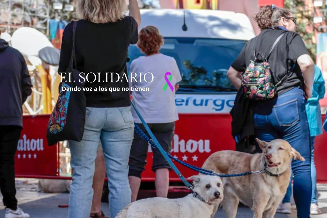 Aminales y las Fallas / El Solidario