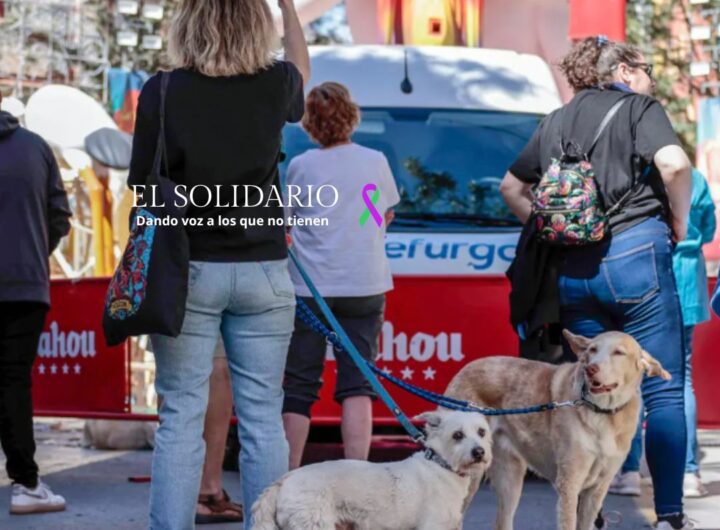 Aminales y las Fallas / El Solidario