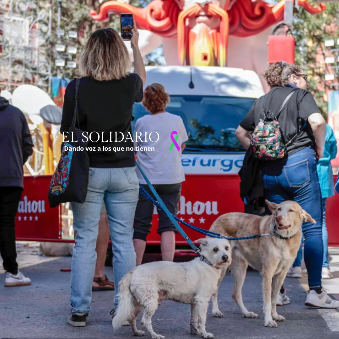 La pirotecnia en las Fallas es una amenaza para la salud animal