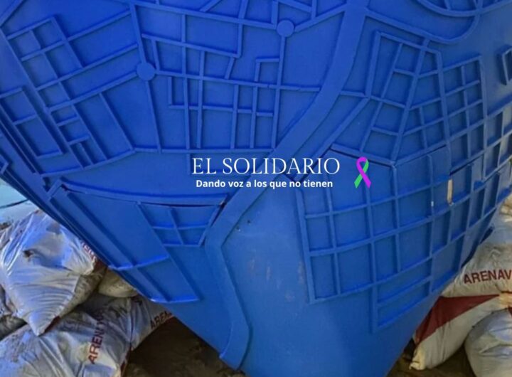 Una falla innovadora que recuerda a la DANA y su gente / LP / El Solidario
