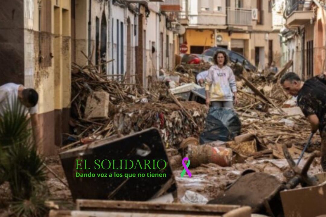 Arquitectura Sana / Arquitecctura Sana / El Solidario