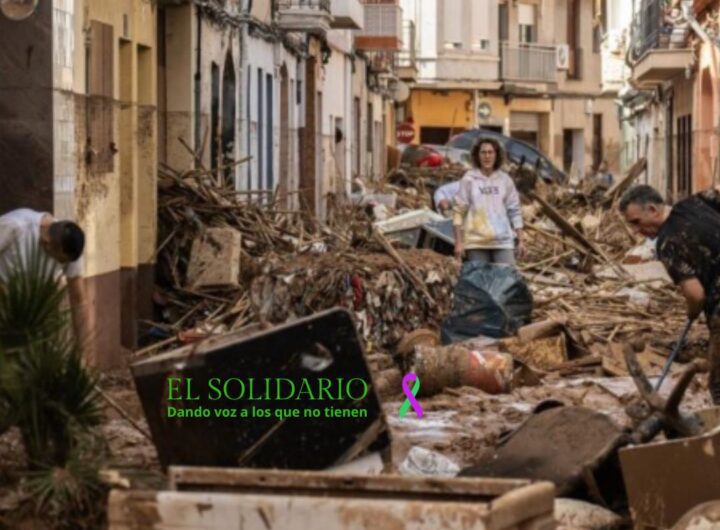 Arquitectura Sana / Arquitecctura Sana / El Solidario