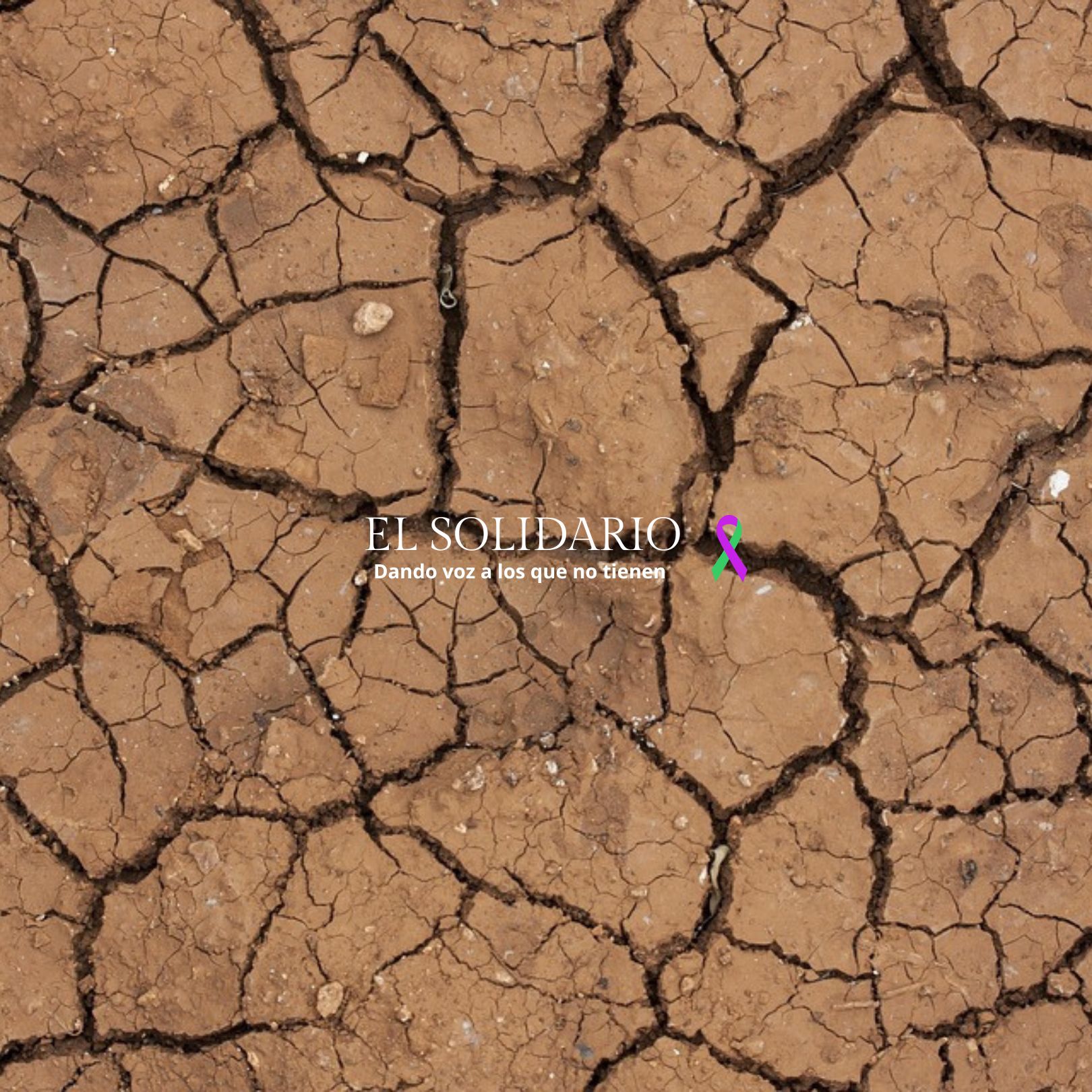 El cambio climático está alterando las estaciones y  nuevos datos revelan consecuencias devastadoras