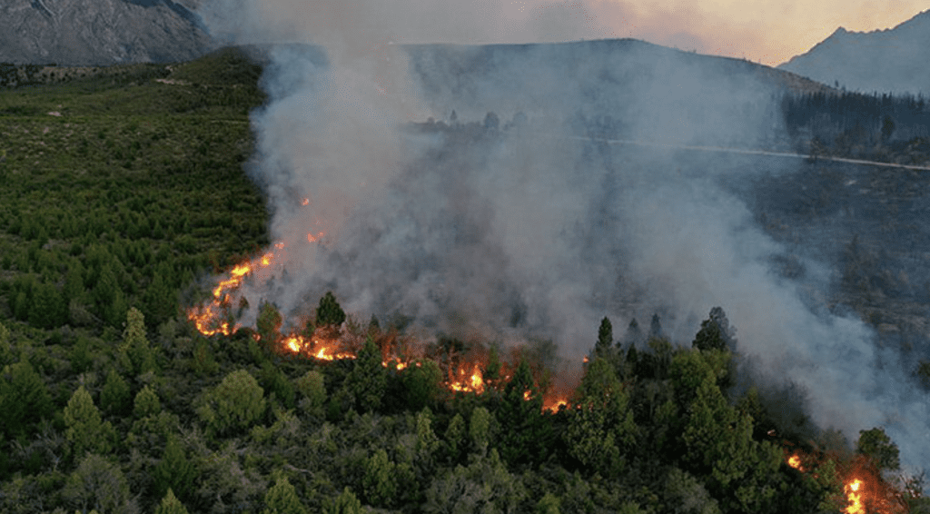 Fotografía de los incendios en la Patagonia año 2025