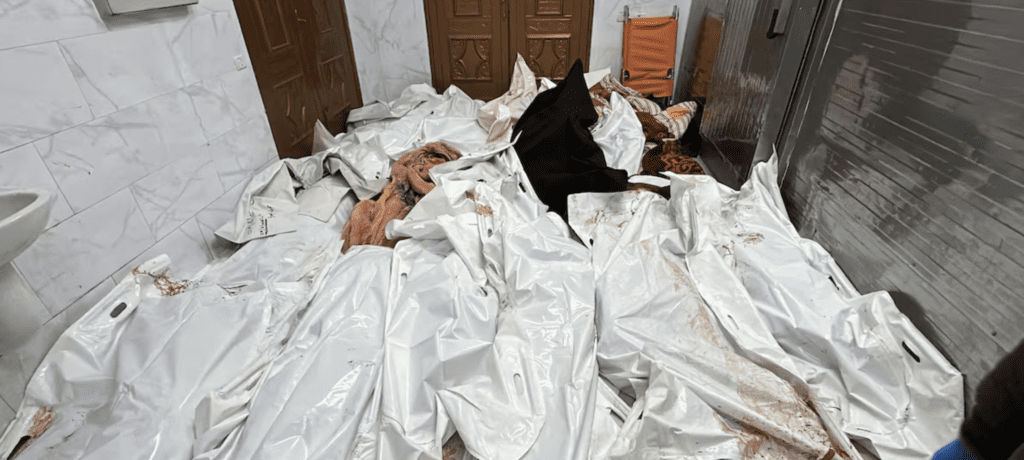 Cadáveres envueltos en bolsas de plástico en el hospital Nasser, en Jan Yunis. Parte del resultado de los bombardeos israelíes en Gaza.
Toma: STRINGER