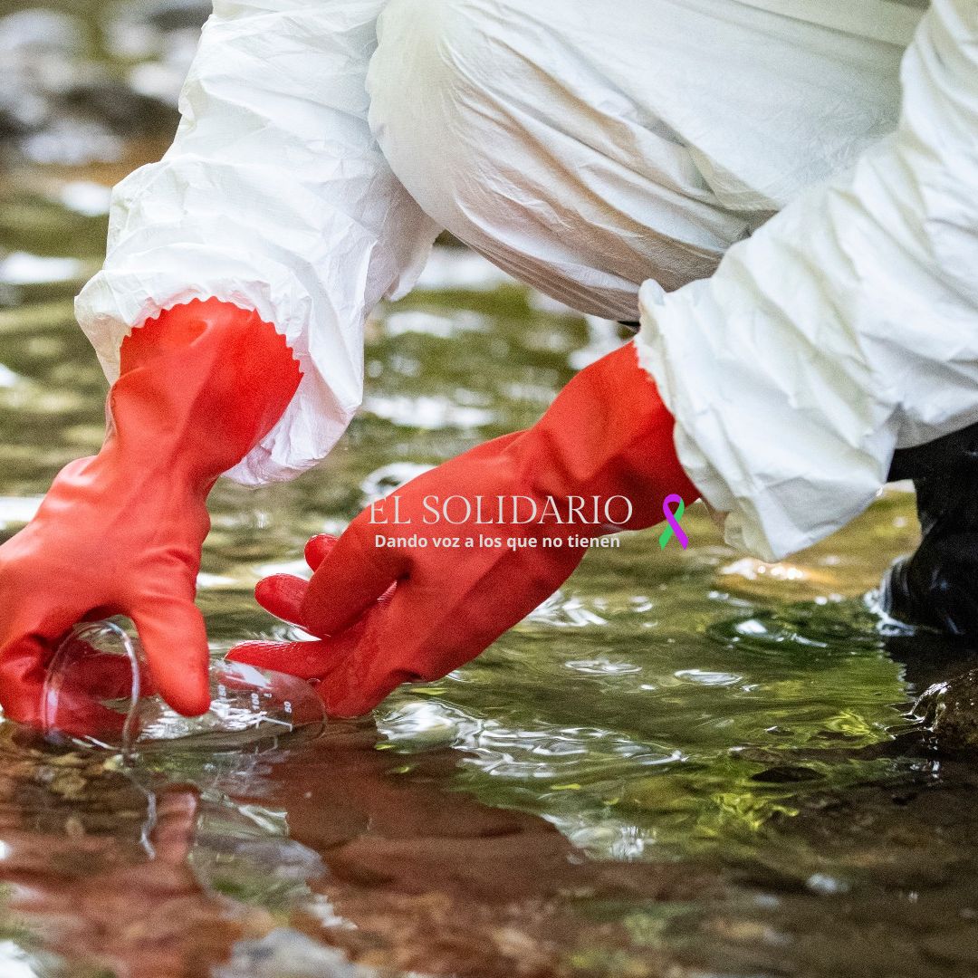 El Manzanares es el río europeo más contaminado por fármacos