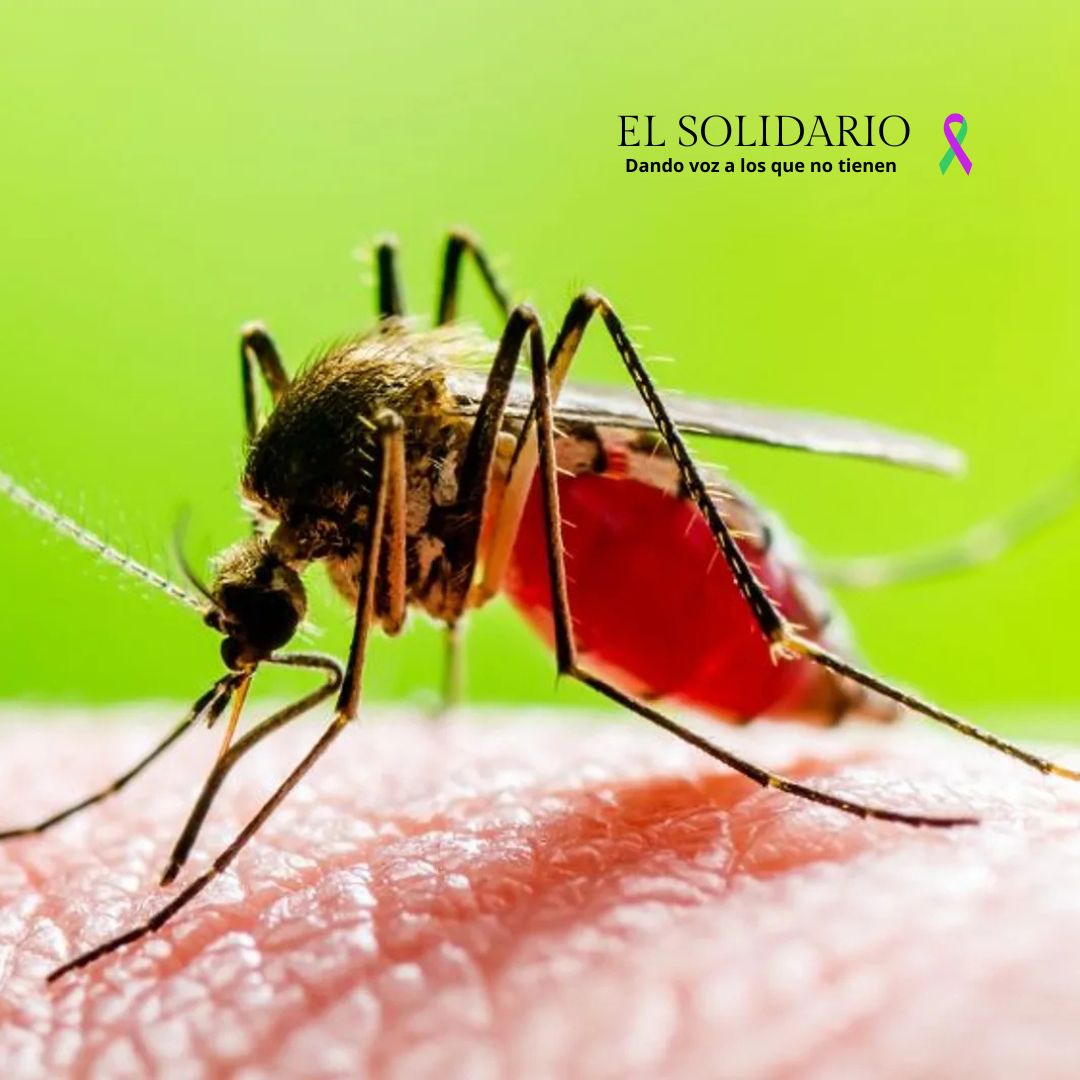 El virus del Nilo se expande por aguas gaditanas