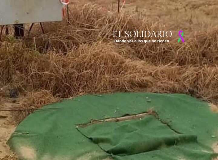 Pozos ilegales en la finca Aljóbar