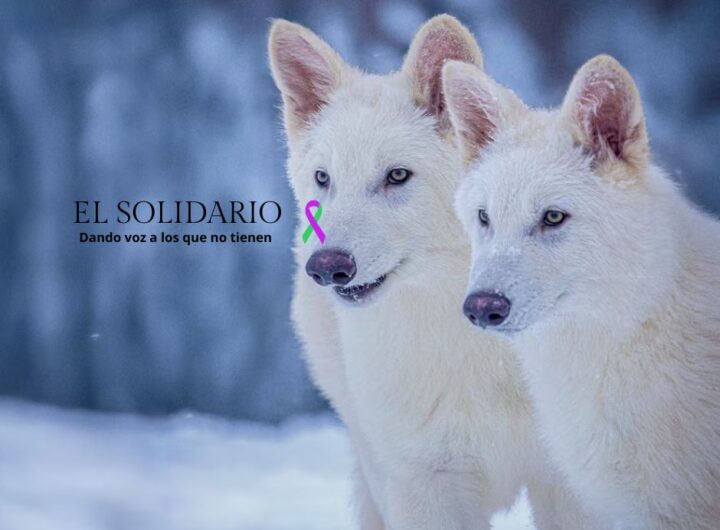 Biotecnología y ADN ancestral