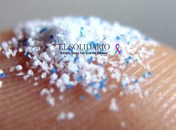 Detectan microplásticos en los ovarios humanos
