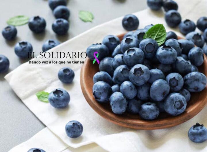 Flavonoides