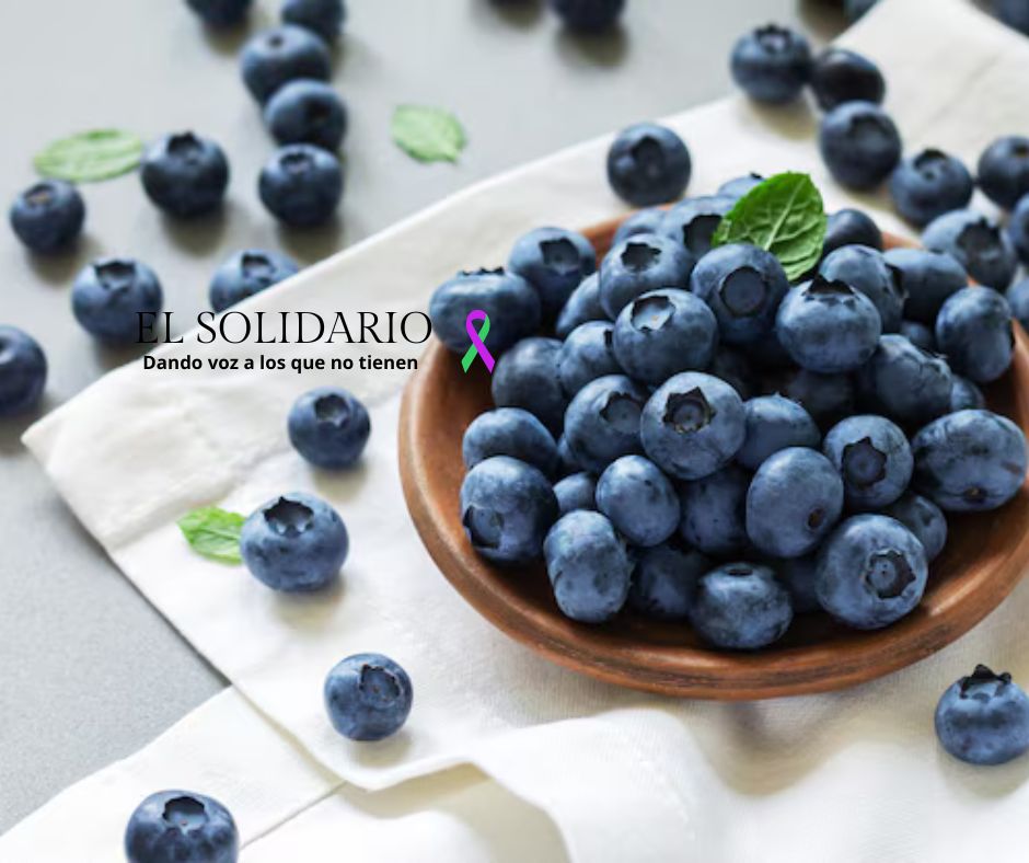 Flavonoides