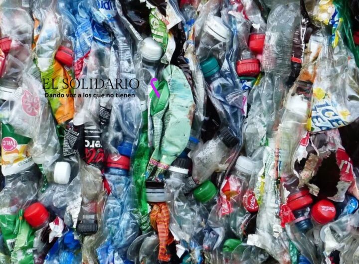 Archivo: El Solidario. Plásticos