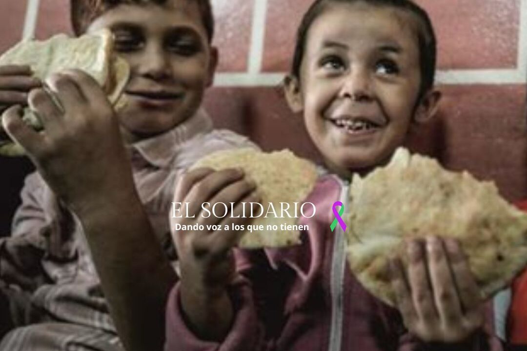 Gaza enfrenta una crisis humanitaria sin precedentes por escasez de harina / Toma El gremio panadero / El Solidario