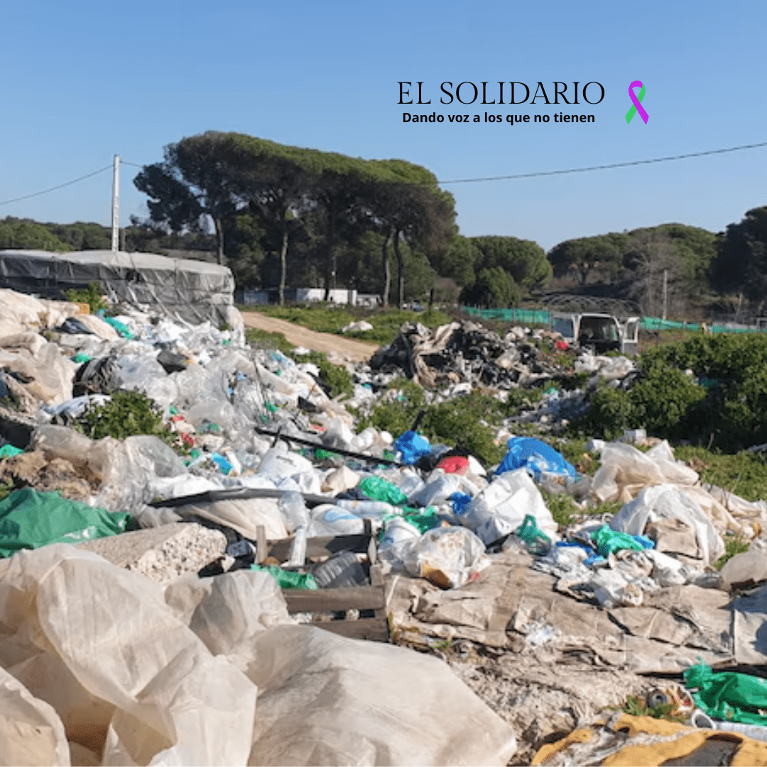 El Gobierno destina 6 millones para mejorar las condiciones de los temporeros en Doñana