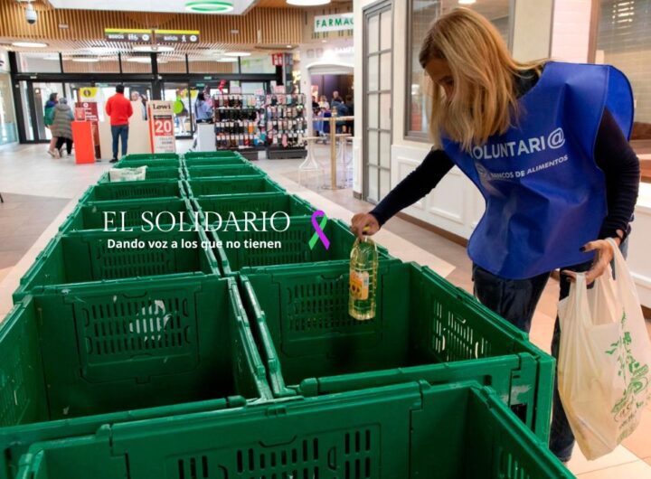La 'Recogida de Primavera 2025'