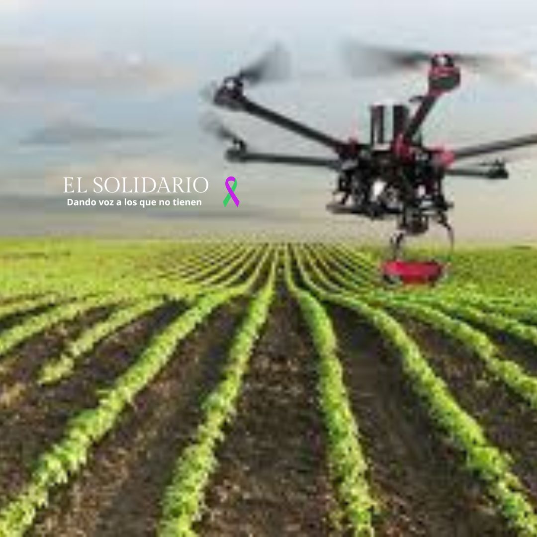 Plantar semillas con drones para reforestar