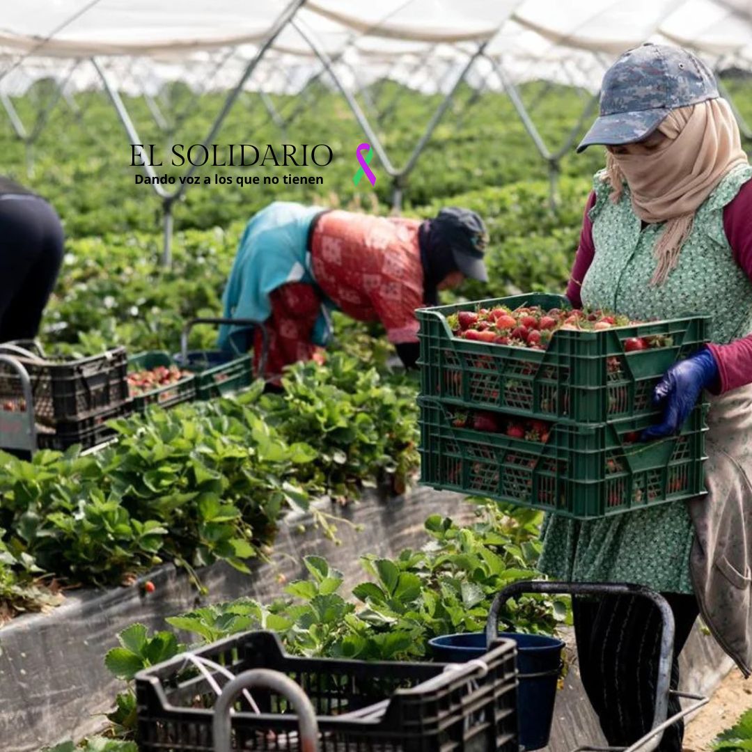 Mujeres marroquíes temporareras de Huelva consolidan su primer sindicato
