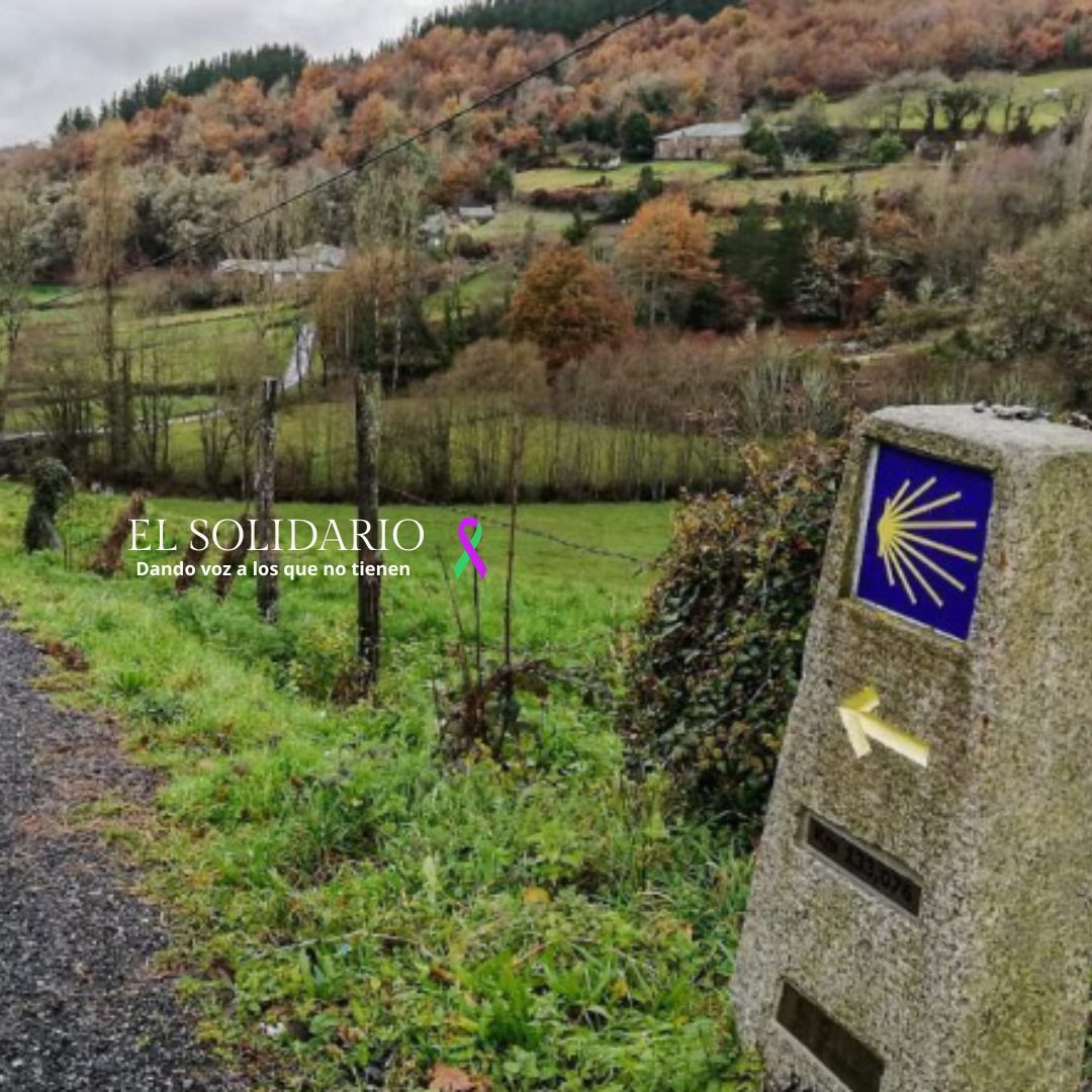 La Xunta vende el Camiño de Santiago a la industria maderera