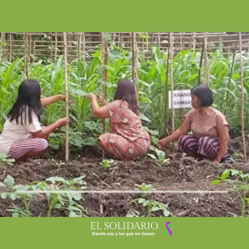 Mujeres Dayak defienden la tierra de Tambun Bungai / Toma de HomeWorld Rainforest Movement / El Solidario
