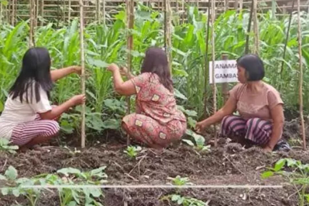 Mujeres Dayak defienden la tierra de Tambun Bungai / Toma de HomeWorld Rainforest Movement / El Solidario