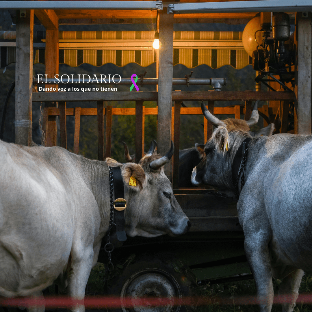 El Gobierno flexibiliza los planes sanitarios y de bienestar animal