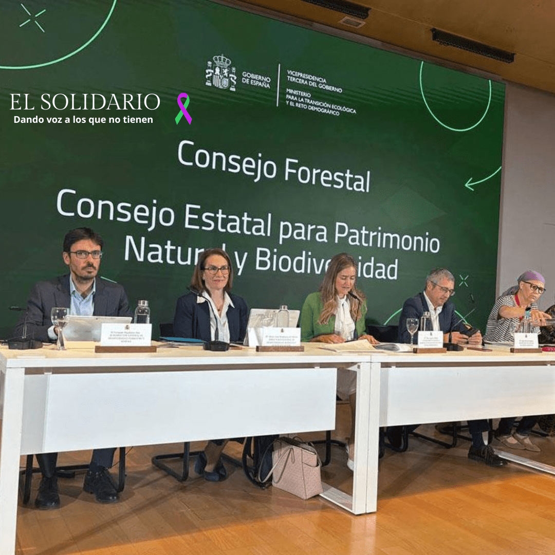 El Ejecutivo destina más de 1.600 millones para restaurar la naturaleza y combatir la desertificación