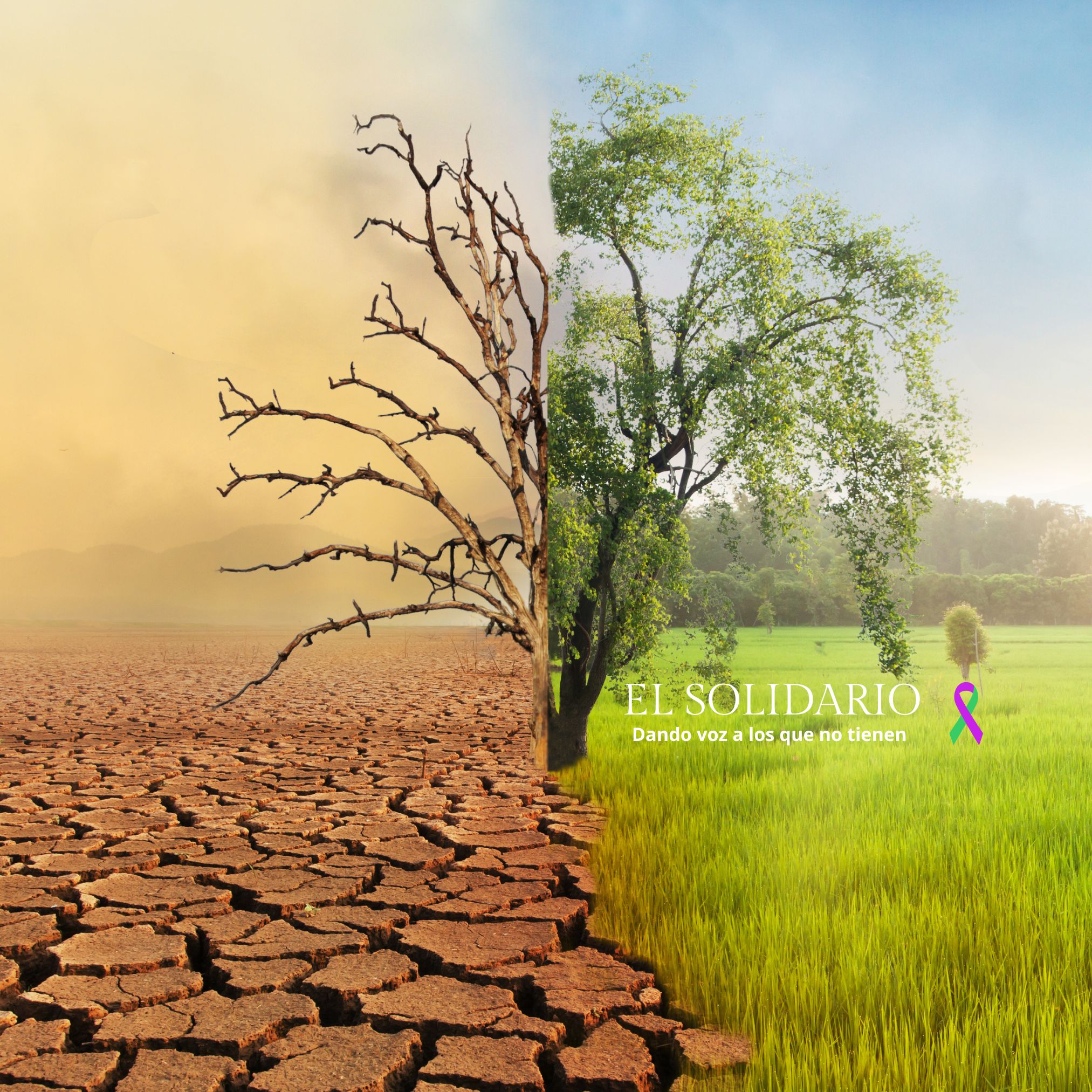 España arde antes de tiempo mientras el cambio climático se convierte en la nueva normalidad