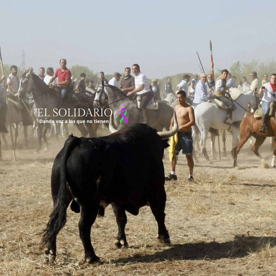 Victoria ética contra la barbarie del Toro de la Vega