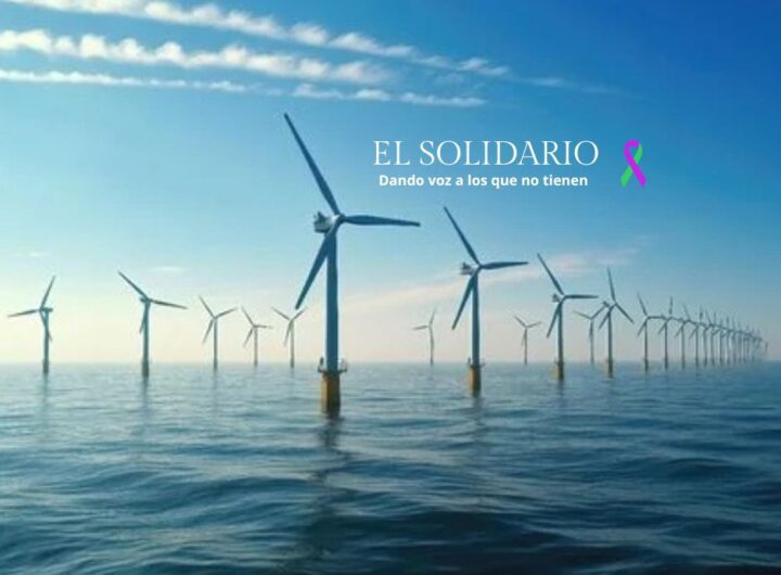 el fenómeno que amenaza la eficiencia de la energía eólica global
