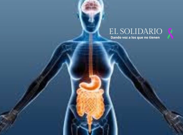 La sorprendente conexión entre intestino y cerebro