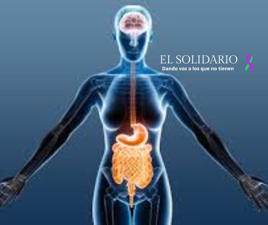 La sorprendente conexión entre intestino y cerebro