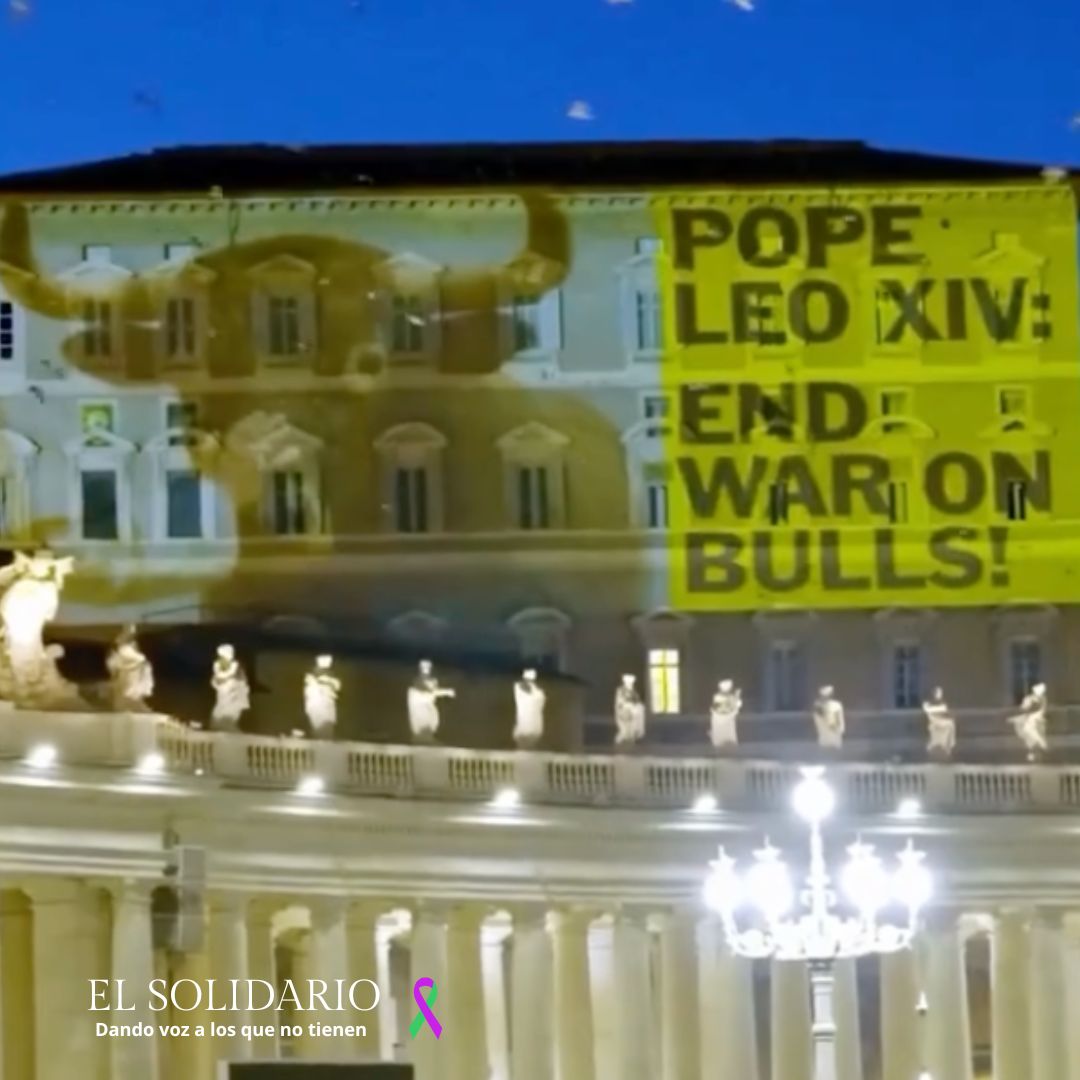 PETA pide al Papa que condene la tauromaquia