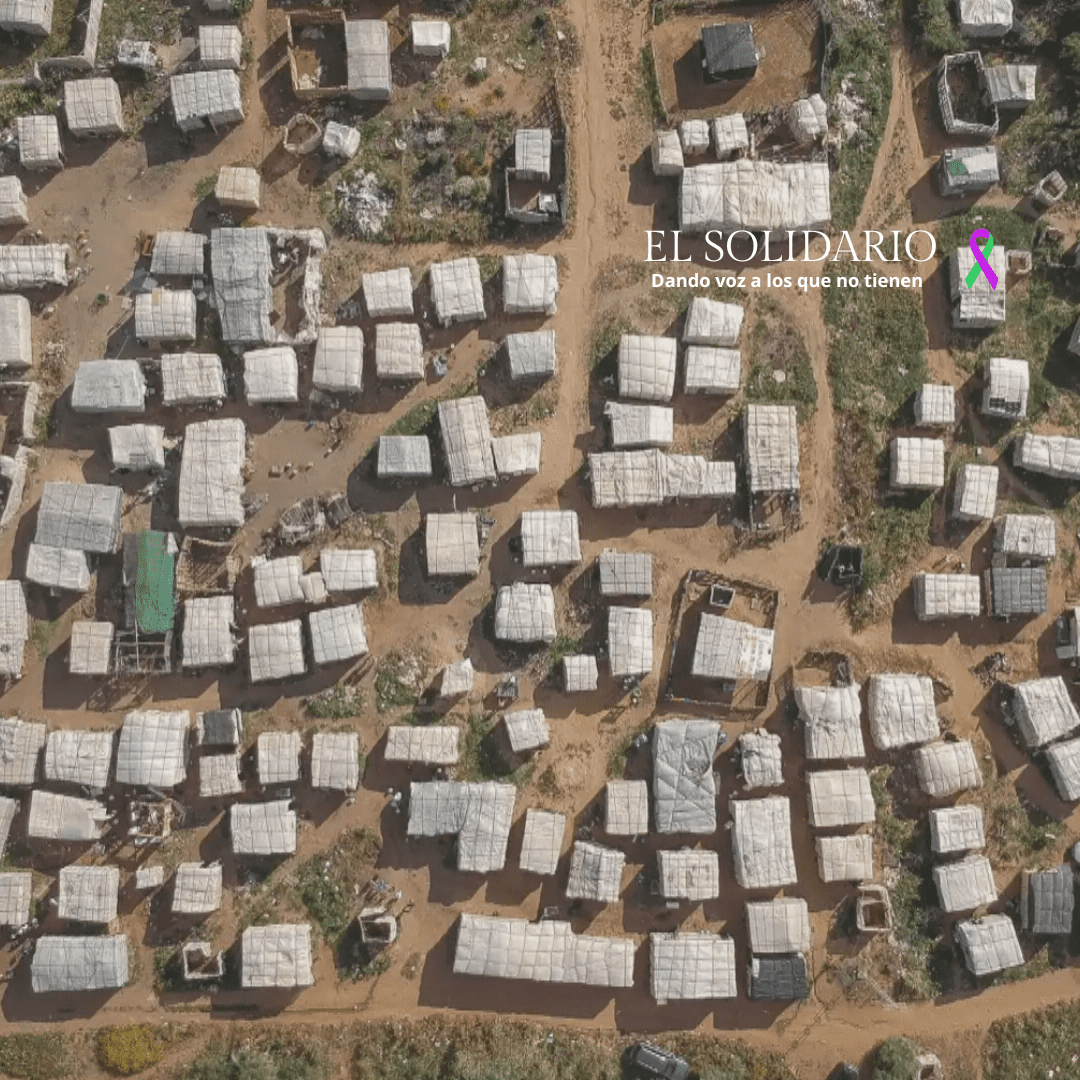 Asentamientos chabolistas en Almería y Huelva: el reverso oculto de una agricultura millonaria