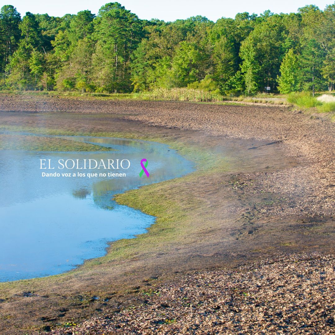 La gran sed del planeta llega cuando el agua escapa hacia mares de injusticia