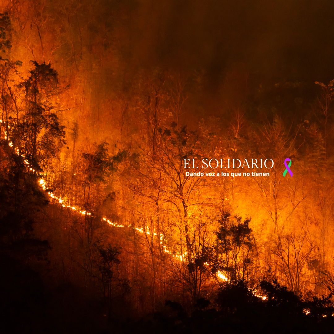 Incendios que no queman bosques, incineran el futuro global