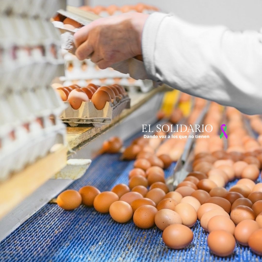 ¿Sería posible conseguir alimentos y productos de consumo muy baratos y para todos, y además no dañar el medio ambiente? 