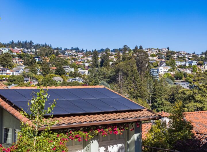 Solar panels on a suburban home, surrounded by lush greenery and a sunny blue sky.