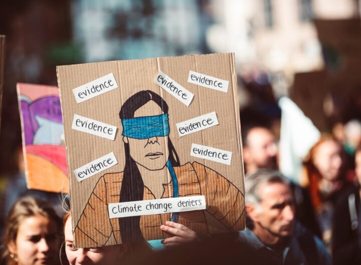 A vibrant protest scene with a focus on a creative sign about climate change denial.